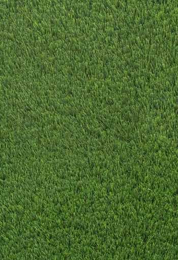 [umely-travnik-loreta-1.jpg]