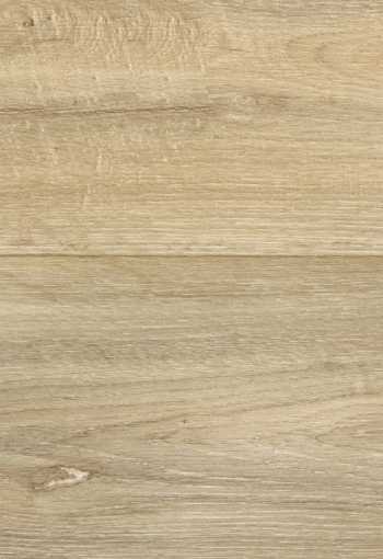 [pvc-roytex-lime-oak-223m-1.jpg]