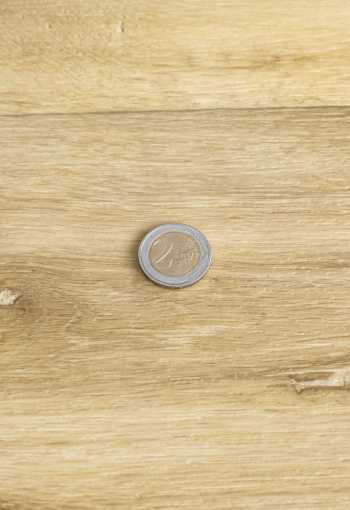 [pvc-roytex-lime-oak-263m-2.jpg]