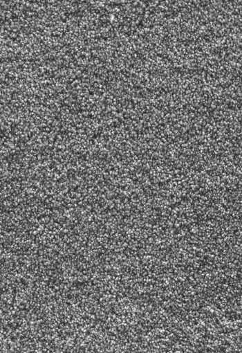 [metrazny-koberec-xavier-75-1.jpg]