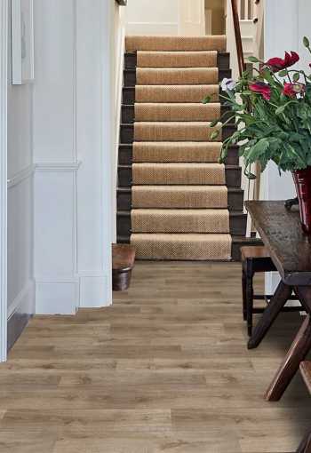 [pvc-supernova-albus-6-6.jpg]