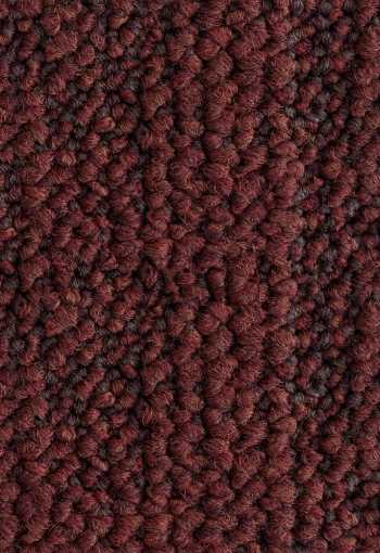 [kobercove-stvorce-desert-4413-1.jpg]