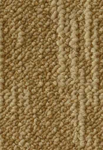 [kobercove-stvorce-desert-6118-1.jpg]