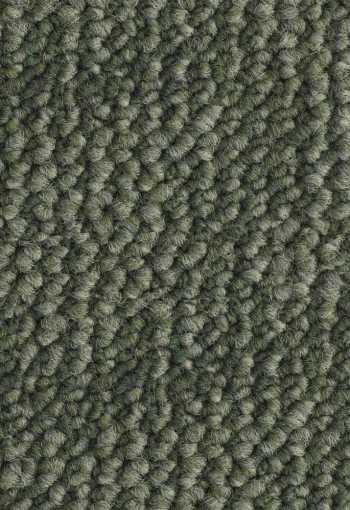 [kobercove-stvorce-desert-7173-1.jpg]