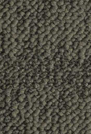 [kobercove-stvorce-desert-7852-1.jpg]