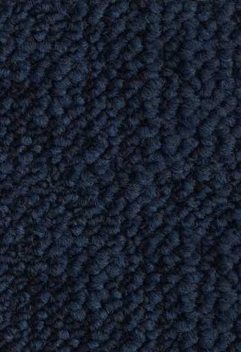 [kobercove-stvorce-desert-8521-1.jpg]