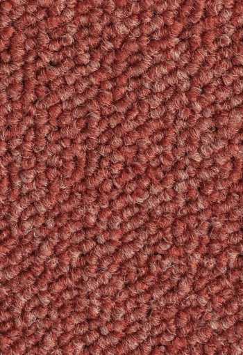 [kobercove-stvorce-essence-4413-1.jpg]