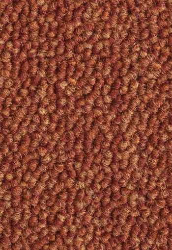 [kobercove-stvorce-essence-5012-1.jpg]