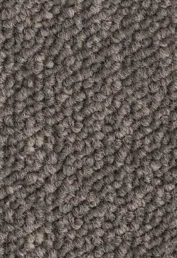 [kobercove-stvorce-essence-9096-1.jpg]