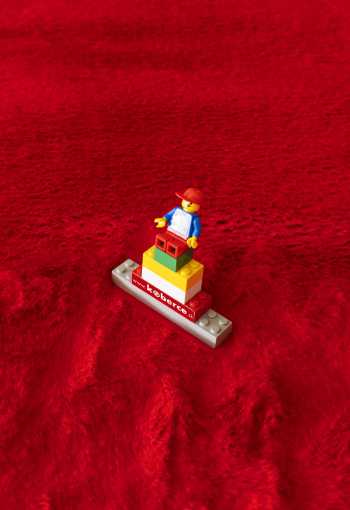 [kusovy-koberec-bunny-n10-2.jpg]