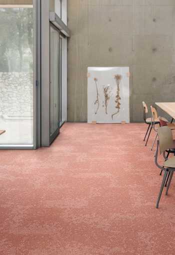 [kobercove-stvorce-arable-4.jpg]