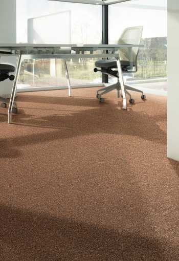 [kobercove-stvorce-arcade-3.jpg]