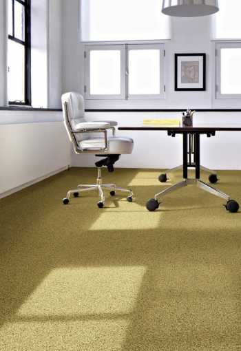 [kobercove-stvorce-fields-3.jpg]