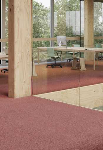 [kobercove-stvorce-fields-4.jpg]