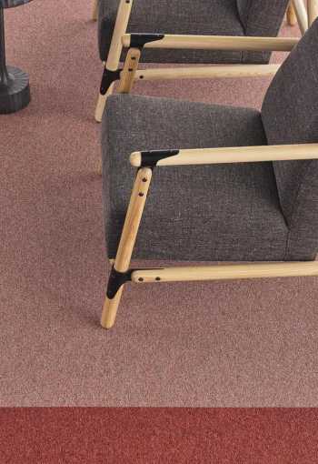 [kobercove-stvorce-desso-solid-2.jpg]