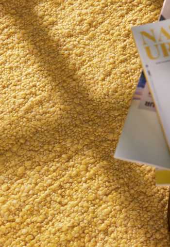 [106348_l_det3_1772024080.jpg]