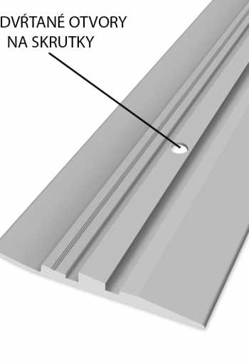 [ukoncovaci-profil-80x17mm-vrtany-strieborny-1.jpg]