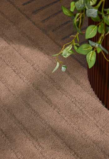 [106300_det3_1771423473.jpg]