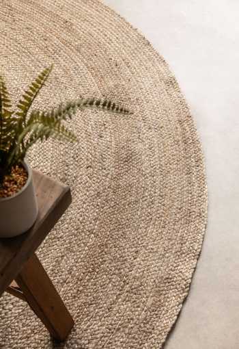 [106006_det3_1771510872.jpg]