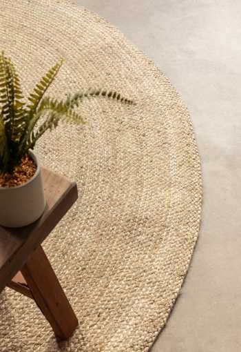 [106007_det3_1771511446.jpg]