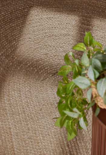 [106006_det3_oval_1771848501.jpg]