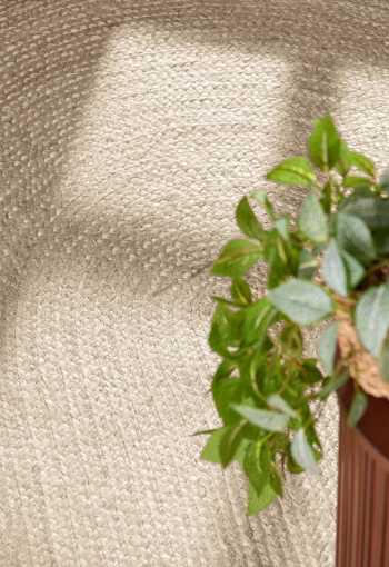 [106007_det3_oval_1771848974.jpg]