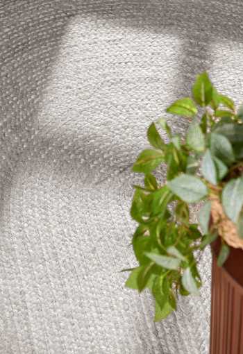 [106321_det3_oval_1771849542.jpg]