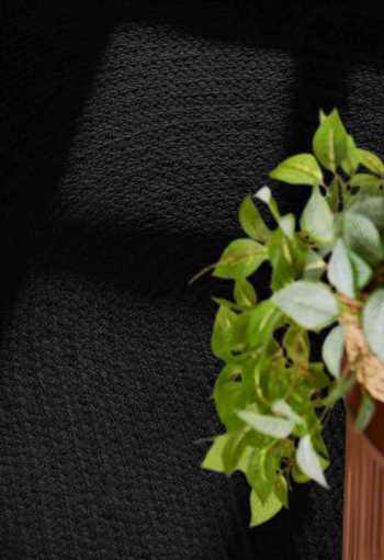 [106322_det3_oval_1771850128.jpg]