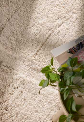 [106371_r_det3_1773238155.jpg]