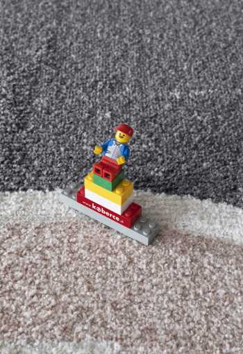 [kusovy-koberec-dixie-65018-yc9e-2_1774274162.jpg]