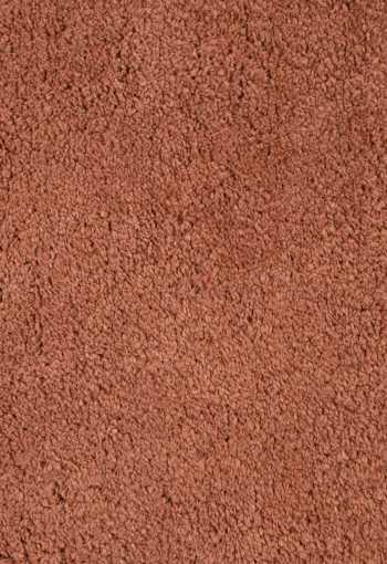 [106449_zoom_1781008288.jpg]