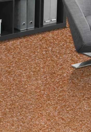 [new-orleans-719-roest-1c.jpg]