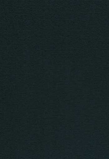 [koberec_altona_198.jpg]