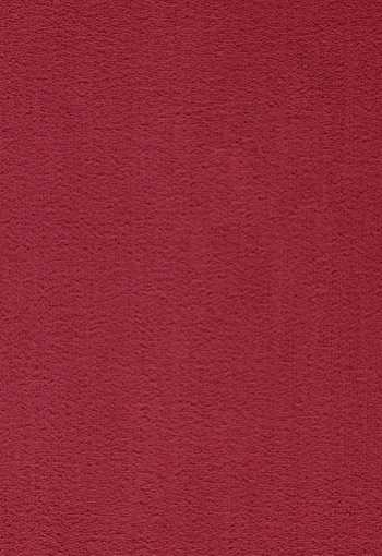 [koberec_prominent_11.jpg]