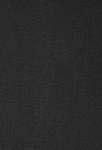 [koberec_prominent_198.jpg]