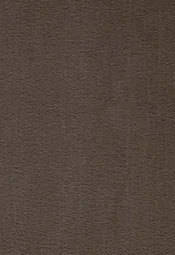 [koberec_prominent_48.jpg]