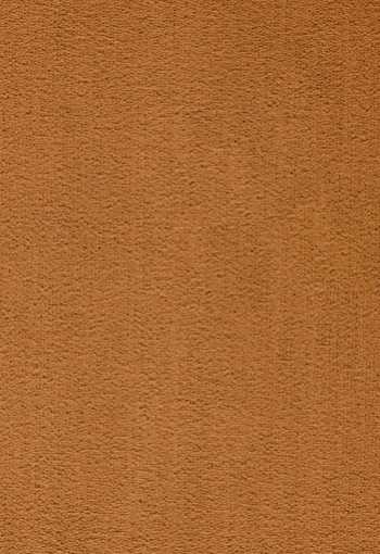 [koberec_prominent_54.jpg]