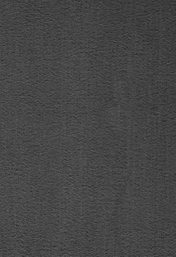 [koberec_prominent_98.jpg]