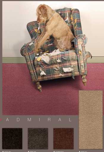 [koberec_admiral_vzorka_1.jpg]