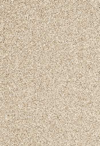 [koberec_evolve_33.jpg]