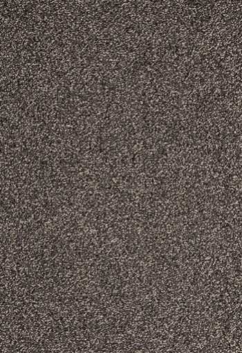 [koberec_evolve_94.jpg]