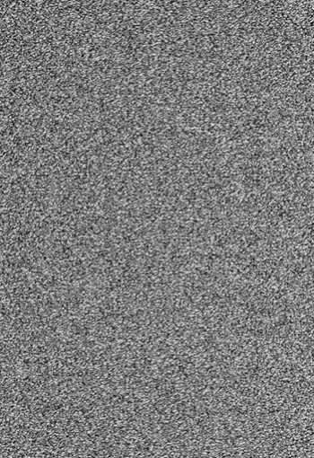 [koberec_evolve_95.jpg]