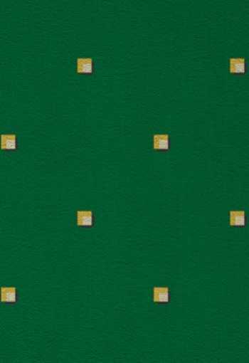 [koberec_pm_strauss_23.jpg]