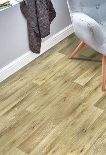 [rumba-latina-0005-01.jpg]