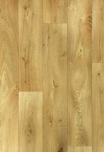 [pvc-rumba-latina-0006-2.jpg]