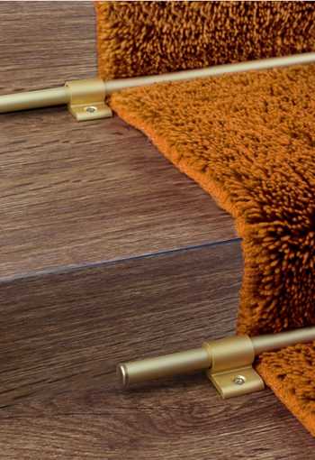 [schodva-tyc-na-behune-zlata-1.jpg]