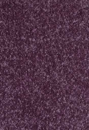 [metrazny-koberec-dynasty-45-7_1.jpg]