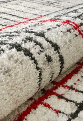 [lotto-406-fm6w-07.jpg]