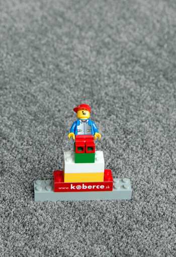 [koberec-labrador-71351-70-3.jpg]