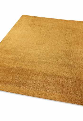 [labrador-71351-800-gold-2.jpg]